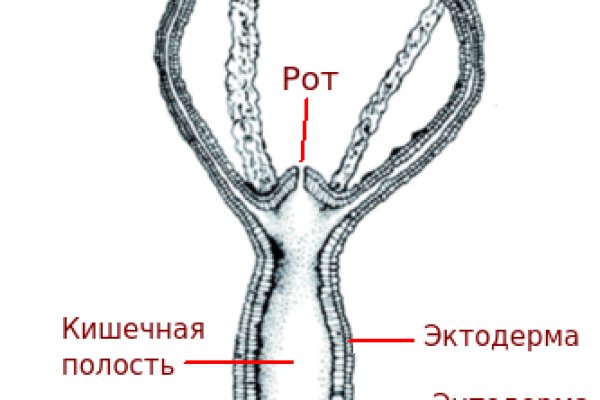 Угнали аккаунт кракен