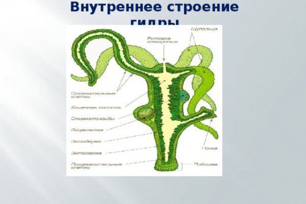 Kraken 16at сайт