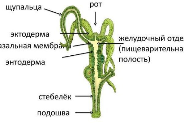 Кракен сайт krk market com